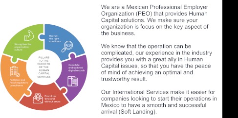 BeSa Consulting